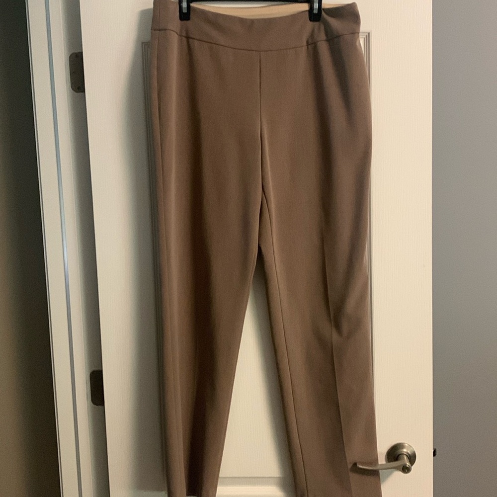 Investments pull on dress pants. Tan size 14L